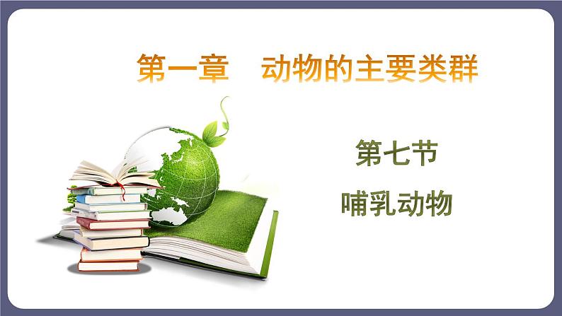 5.1.7哺乳动物 课件-2023-2024学年人教版生物八年级上册01