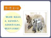 5.1.7哺乳动物 课件-2023-2024学年人教版生物八年级上册
