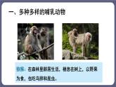 5.1.7哺乳动物 课件-2023-2024学年人教版生物八年级上册
