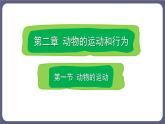 5.2.1 动物的运动 课件-2023-2024学年人教版生物八年级上册