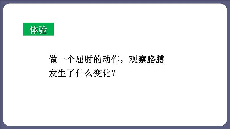 5.2.1 动物的运动 课件-2023-2024学年人教版生物八年级上册第2页