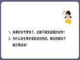 5.2.1 动物的运动 课件-2023-2024学年人教版生物八年级上册