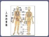 5.2.1 动物的运动 课件-2023-2024学年人教版生物八年级上册