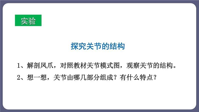 5.2.1 动物的运动 课件-2023-2024学年人教版生物八年级上册第6页