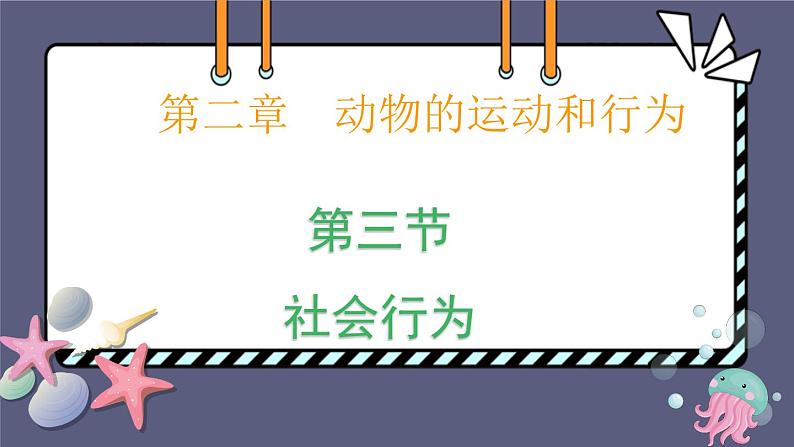 5.2.3社会行为 课件-2023-2024学年人教版生物八年级上册第1页