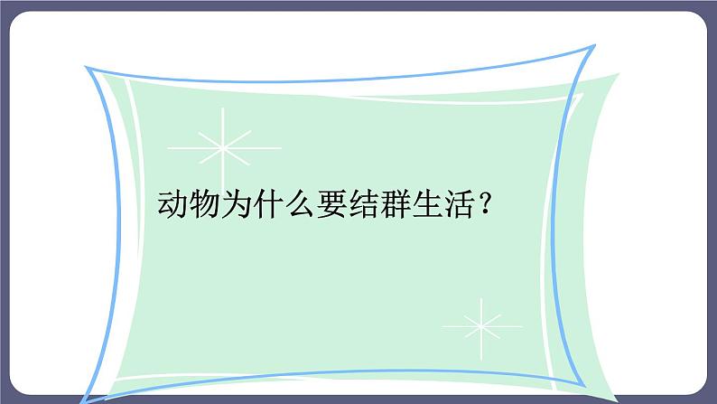 5.2.3社会行为 课件-2023-2024学年人教版生物八年级上册第4页