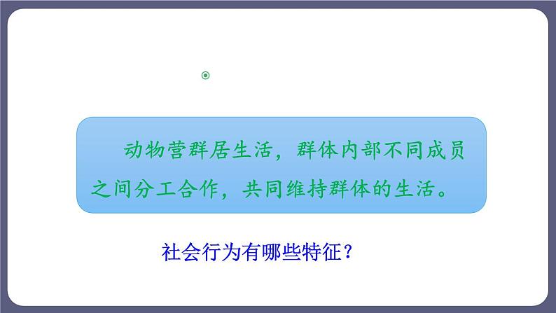 5.2.3社会行为 课件-2023-2024学年人教版生物八年级上册第6页