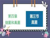 5.4.3真菌优化 课件-2023-2024学年人教版生物八年级上册