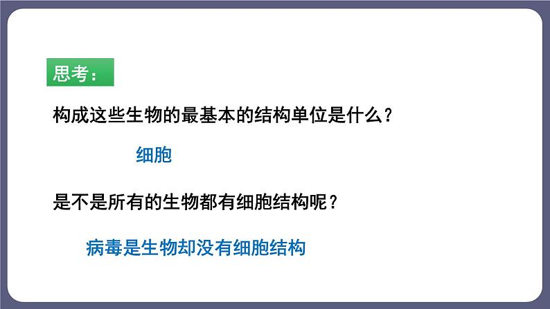 5.5 病毒 课件-2023-2024学年人教版生物八年级上册05