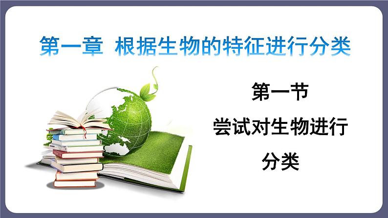 6.1.1 尝试对生物进行分类优化 课件-2023-2024学年人教版生物八年级上册04