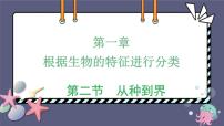 人教版 (新课标)第二节 从种到界课前预习ppt课件
