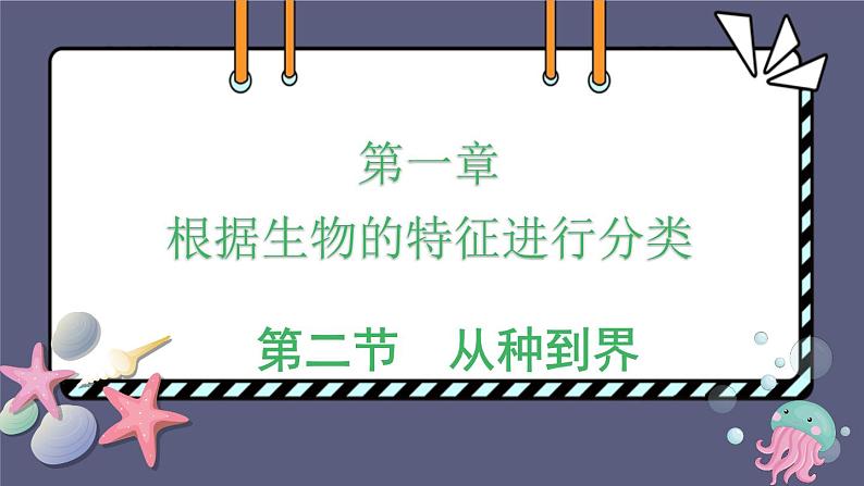 6.1.2 从种到界优化课件-2023-2024学年人教版生物八年级上册第1页