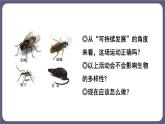 6.2 认识生物的多样性优化 课件-2023-2024学年人教版生物八年级上册