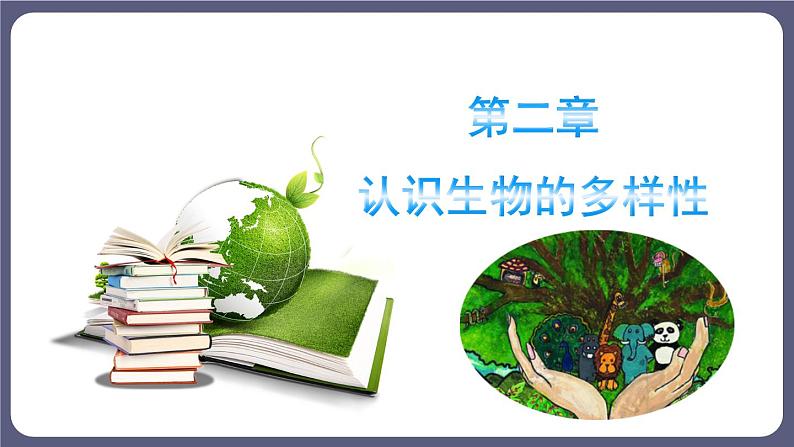 6.2 认识生物的多样性优化 课件-2023-2024学年人教版生物八年级上册03