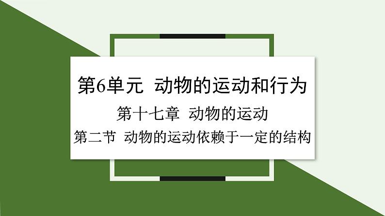 苏教版生物八上6.17.2 动物运动依赖于一定的结构（课件PPT)第1页