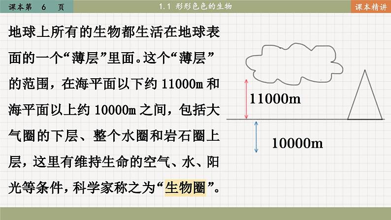 北师大版生物七上1.1 形形色色的生物（课件PPT）03