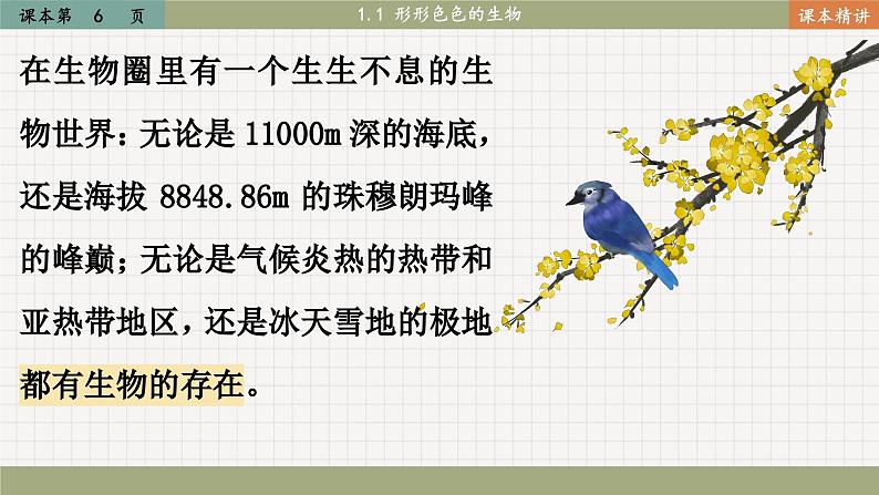 北师大版生物七上1.1 形形色色的生物（课件PPT）04