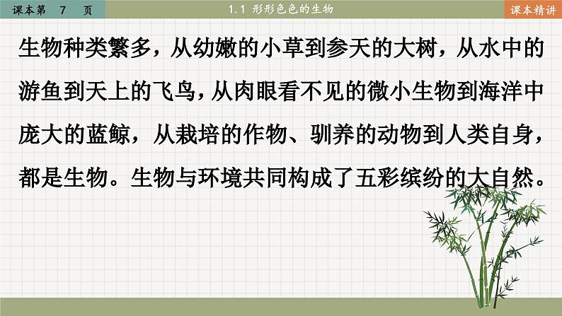 北师大版生物七上1.1 形形色色的生物（课件PPT）06