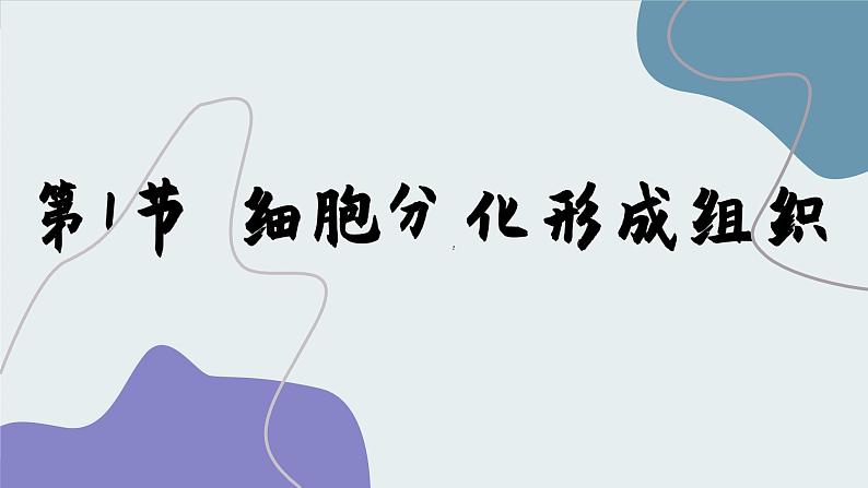 北师大版生物七上4.1 细胞分化形成组织（课件PPT）第1页