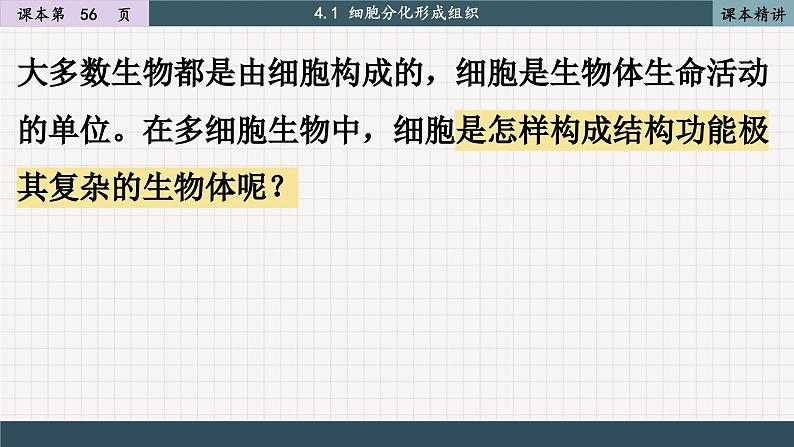 北师大版生物七上4.1 细胞分化形成组织（课件PPT）第3页