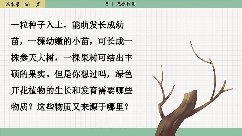 北师大版生物七上5.1 光合作用（课件PPT）03