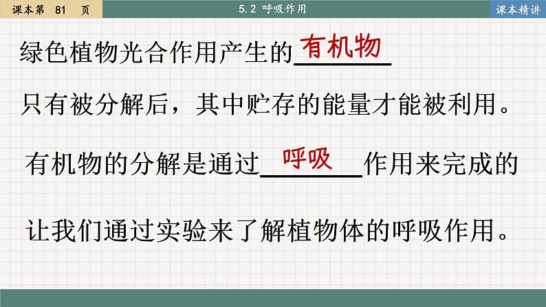 北师大版生物七上5.2 呼吸作用 （课件PPT）第2页