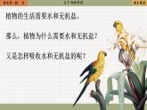 北师大版生物七上5.3 吸收作用（课件PPT）