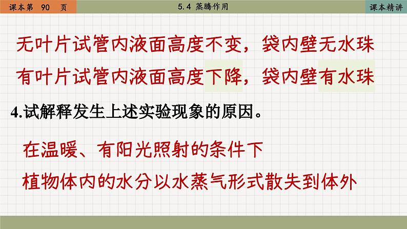 北师大版生物七上5.4 蒸腾作用（课件PPT）第7页