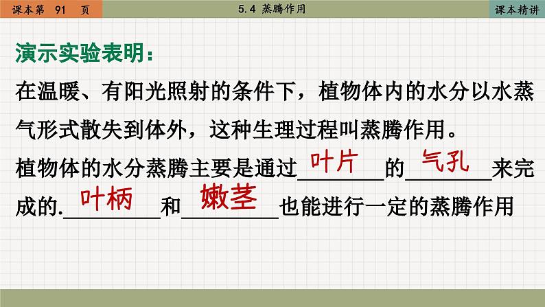北师大版生物七上5.4 蒸腾作用（课件PPT）第8页