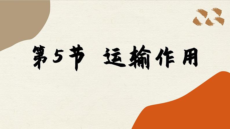 北师大版生物七上5.5 运输作用（课件PPT）第1页