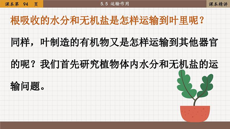北师大版生物七上5.5 运输作用（课件PPT）第2页