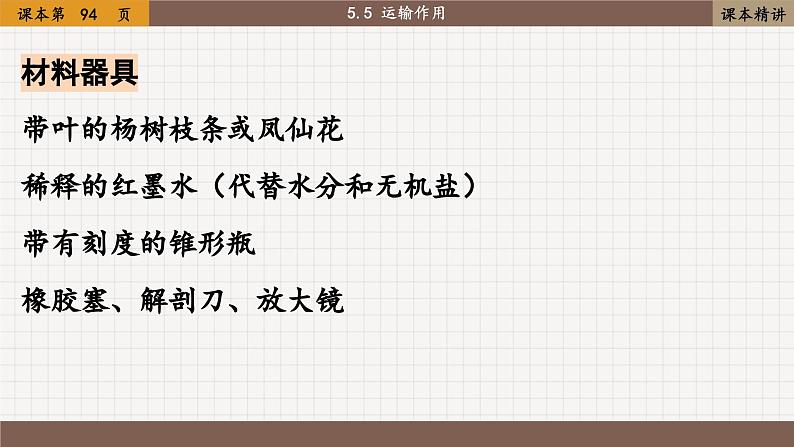 北师大版生物七上5.5 运输作用（课件PPT）第6页