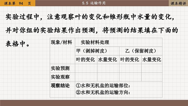 北师大版生物七上5.5 运输作用（课件PPT）第8页