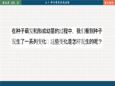 北师大版生物七上6.1 种子萌发形成幼苗（课件PPT）