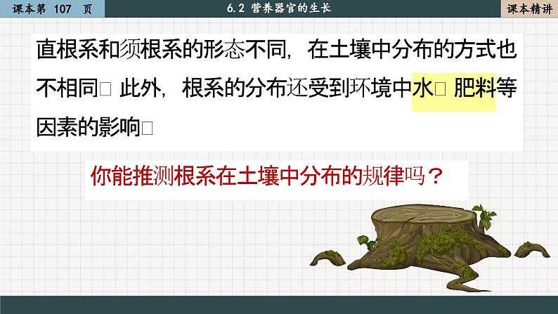 北师大版生物七上6.2 营养器官的生长（课件PPT）08