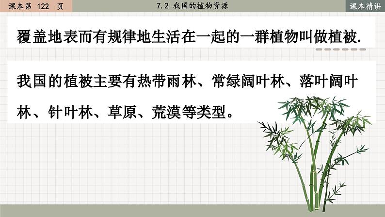 北师大版生物七上7.2 我国的植物资源（课件PPT）第4页