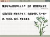 北师大版生物七上7.2 我国的植物资源（课件PPT）