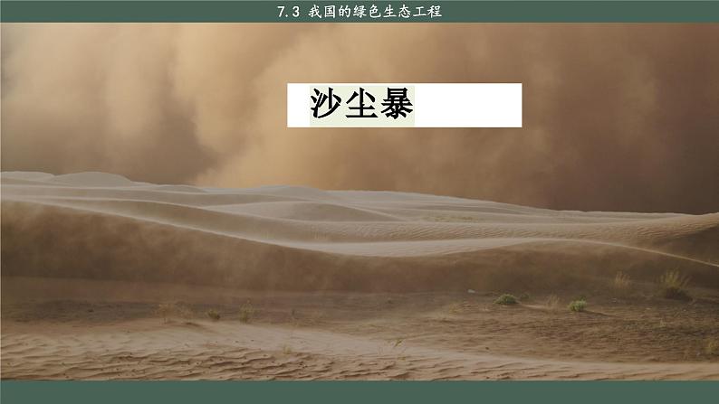 北师大版生物七上7.3 我国的绿色生态工程（课件PPT）04