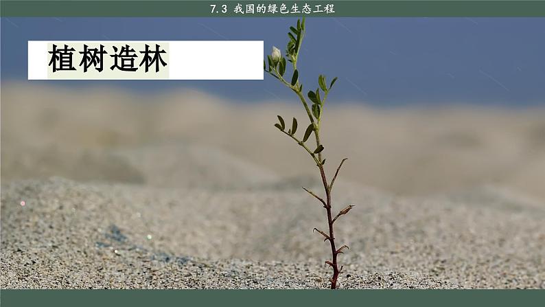 北师大版生物七上7.3 我国的绿色生态工程（课件PPT）06