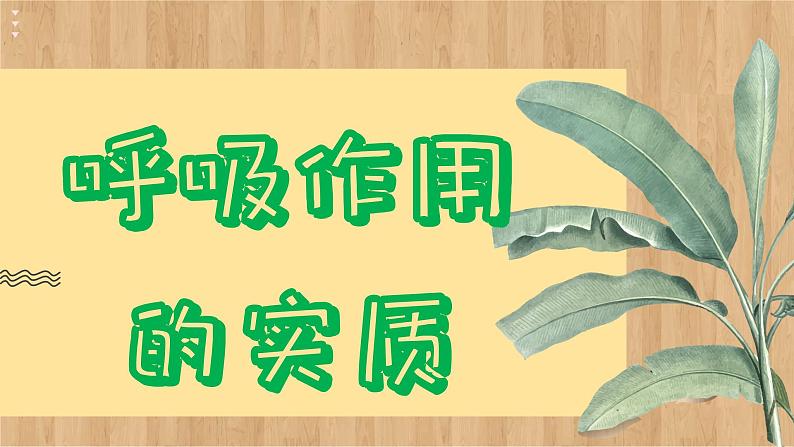 苏教版生物七上6.4  植物的呼吸作用（课件PPT）08