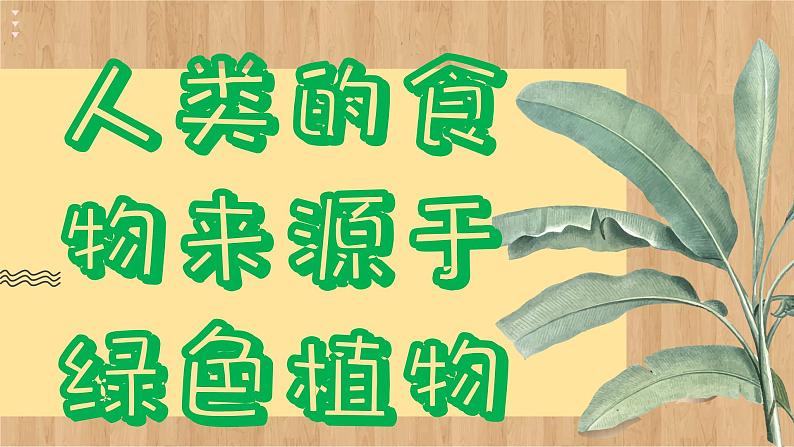 苏教版生物七上7.1  绿色植物是食物之源（课件PPT）第6页