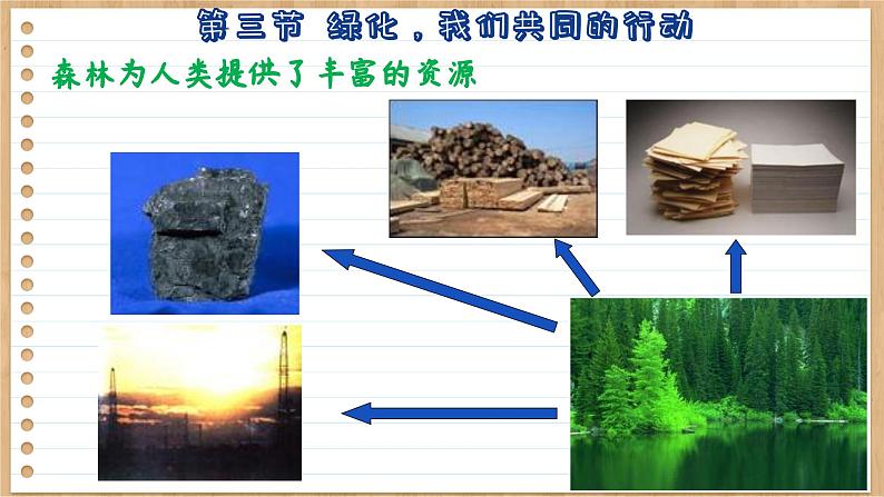 苏教版生物七上7.3  绿化，我们共同的行动（课件PPT）08