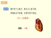 苏科版生物八上15.1  第2课时  人体内物质的运输-心脏（课件PPT）