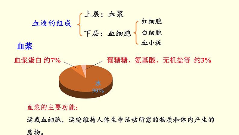 苏科版生物八上15.1  第3课时  人体内物质的运输-血液（课件PPT）05