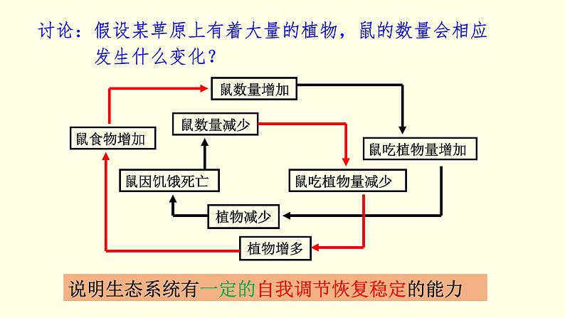 苏科版生物八上18.3  生态系统的自我调节（课件PPT）04