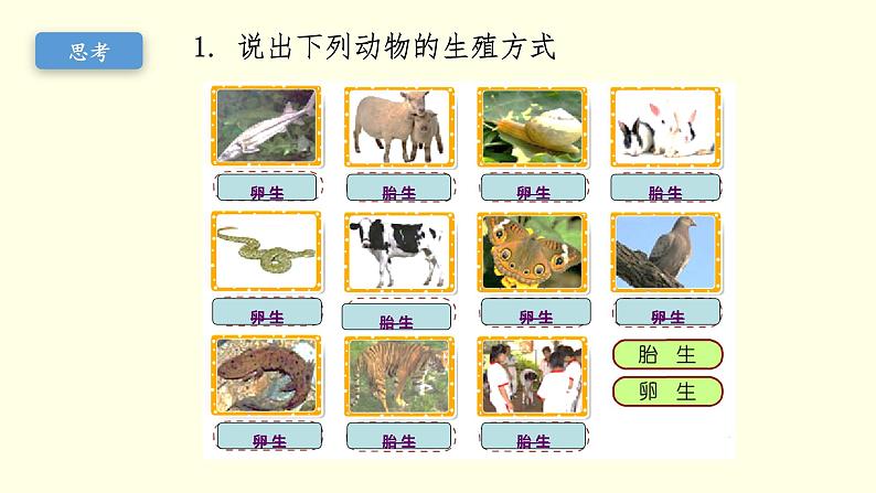 苏科版生物八上20.1  动物的生殖（课件PPT）06