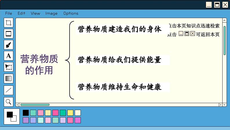 苏科版生物七上5.2 营养物质的作用（课件PPT）02