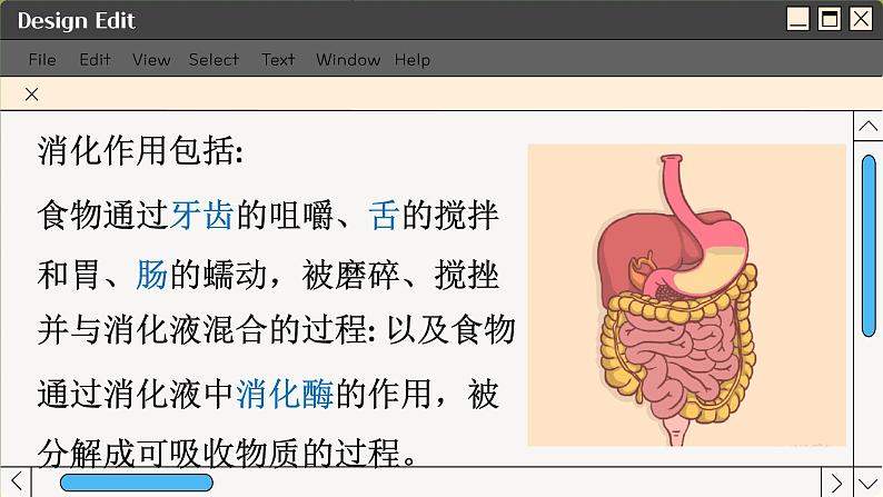 苏科版生物七上5.4 人体对食物的消化吸收（课件PPT）06