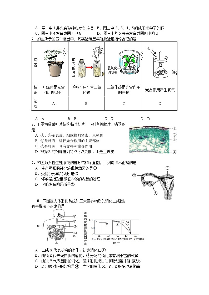 2023年山东省临沂市平邑县初中生物学业水平考试一模生物试题02
