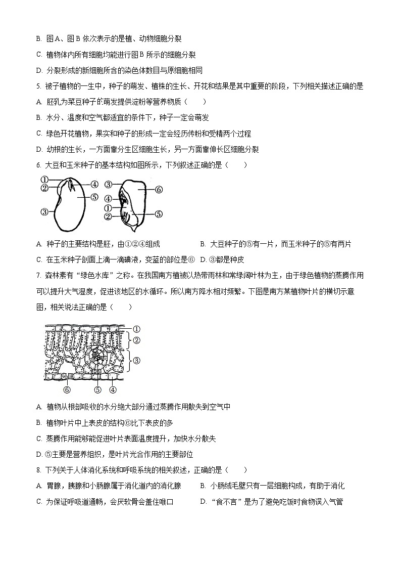2023年山东省临沂市费县中考一模生物试题02